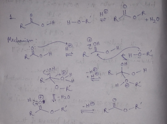 R hout. Ho-R & ROTHO Mechanism: no-HT IH-O-R OH W +H RH HR Locork HEB JI - H20 To-R R