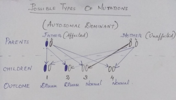TYPES MU TA TIO NS OF BLE AUTOSOMAL SOMINANT) FOTHE R CAffected) O Mo THER CUnaffeled) PARENTS CHILDREN 2 4 nexmal Oisease Di