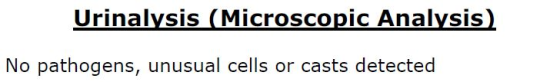Urinalysis (Microscopic Analysis) No pathogens, unusual cells or casts detected