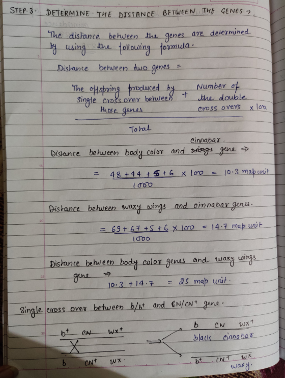 STEP-3. DETERMINE THE DISTANCE BETWEEN THE GENES -) The distance between the genes are determined by using the following form