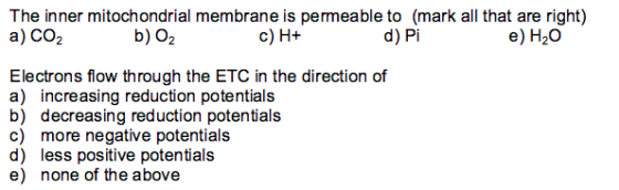 Topic: Electron Transport/Oxidative Phosphory