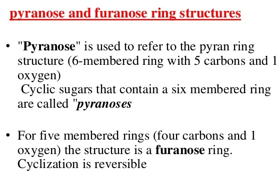 pyranose and furanose ring structures . Pyranose is used to refer to the pyran ring structure (6-membered ring with 5 carbo