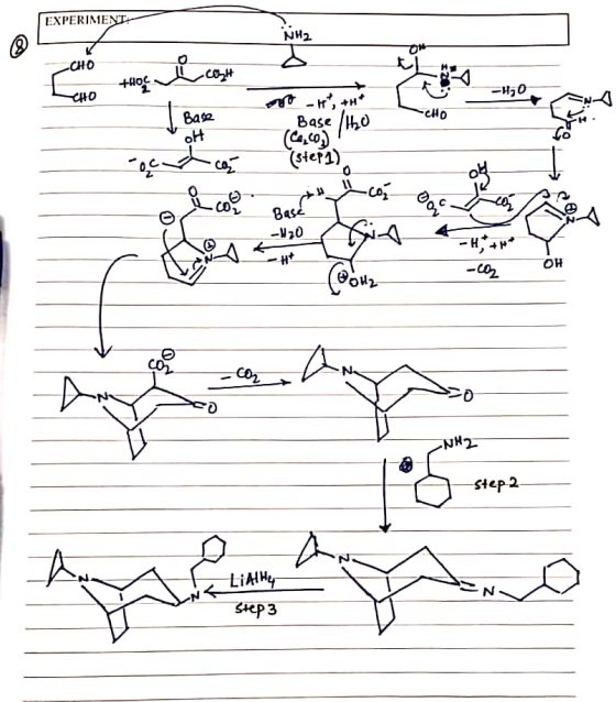 EXPERIMENTS NH2 CHO COH CHO -HO Base ont -I, +H* Base /ho (step1), (8.60, 7 Y Basé -W20 kut HP OH (ou NH2 Step 2 Lifth N< S