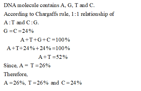 DNA molecule contains A, G, T and C According to Chargaffs rule, 1:1 relationship of A T and C: G. G C 24% A T+GC 100% A+T+24