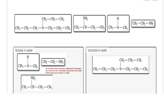 Η CHG-CHU-NH, CH3-CH2 - CH2 -N-CH2-CH2 - CH3||CH3-CH-CH2 - CH3CH3-N-CH; Soluble in water Insoluble in water CH-CH-NH, CHG-N-C