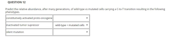 QUESTION 12 Predict the relative abundance, after many generations, of wild-type vs mutated cells carrying a C-to-T transition resulting in the following phenotypes constitutively activated proto-oncogene inactivated tumor supressor silent mutation wild-type < mutated cells ▼