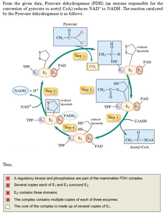 From the given data, Pyruvate dehydrogenase (PDH) (an enzyme responsible for the conversion of pyruvate to acetyl CoA) reduce