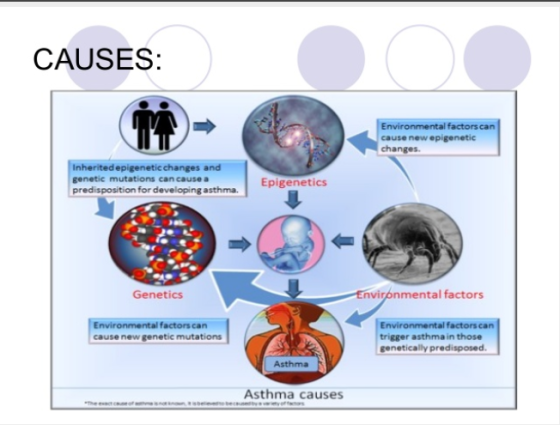 CAUSES: Environmental factors can cause new epigenetic changes. Inherited epigenetic changes and genetic mutations can cause
