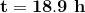 \mathbf{t=18.9\ h}