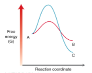 Free energyA Reection coordnate