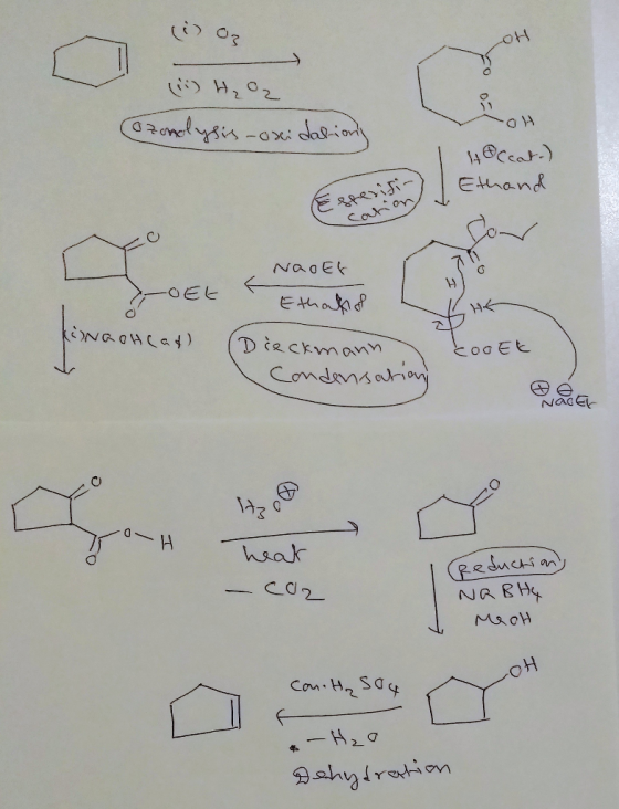 03 ( 03 (1) H₂O2 Ozonlysis-oxidations I toccate) Ethand spesifi- Cation OEt KingoHead Nao Ef Ethatod ! (Dieckmann Condensatio