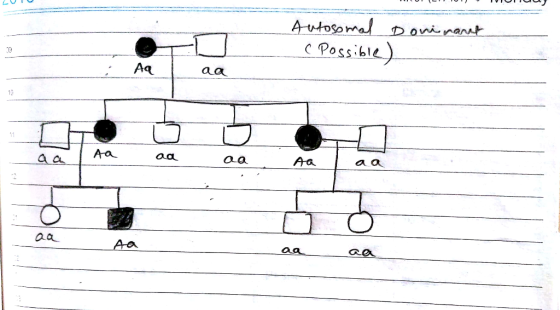 so rn C Poss ble Aq 13 αα A-a Aa ae