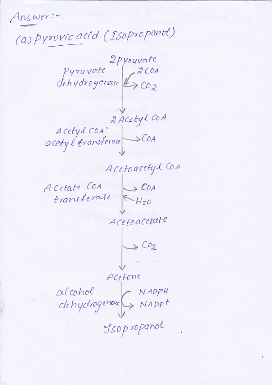 ysuvate COA de h ydrogeaseCo,2 2 Aczeyl Co,A Acero a cele(ACO A 4 Cetate COA COA transferasek 2 Acetoacctale Acetone alcohol
