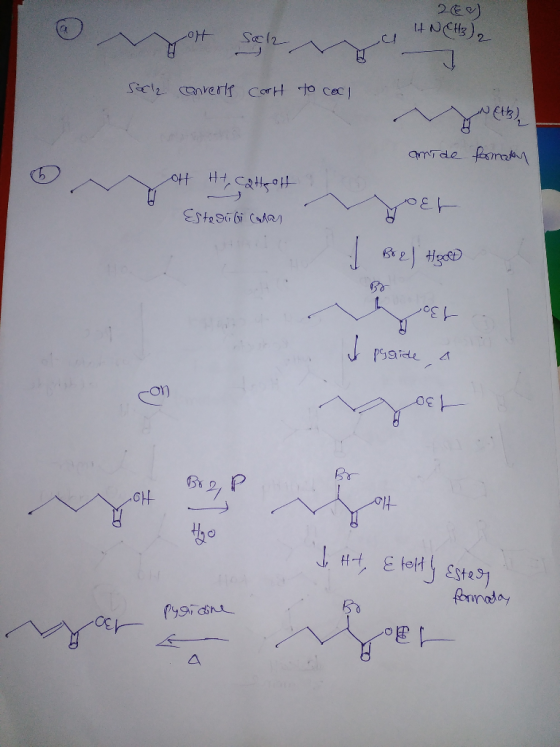 26) IHN CH3), Soch converts Cart to cool V ete amide formatan OH Ht, catteott ? EstediGi Catan yoen Bk 2 ) Hilgeed hoch i pso