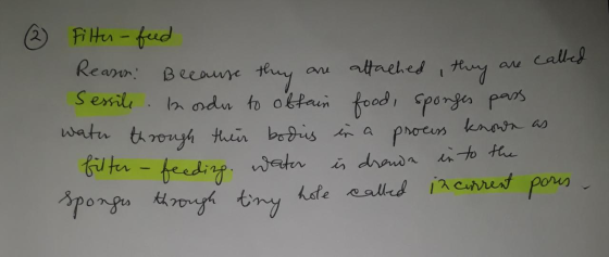 - called they are Filter-feed Reason. Because they are attached they are Sessile. In order to obtain food, sponges pass water