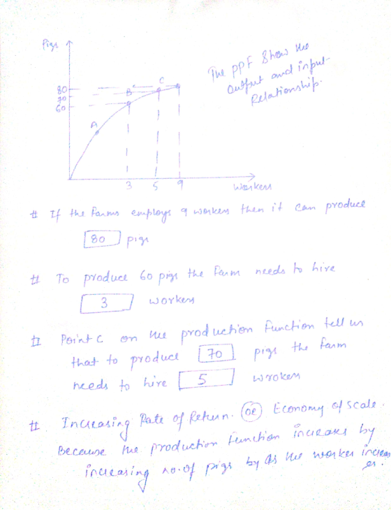 Jhe ppF &has Hus autut andl input Retationship g아 20 1 3 Wakers # the fanmus employs 9wnkes then it Can produce To produce th