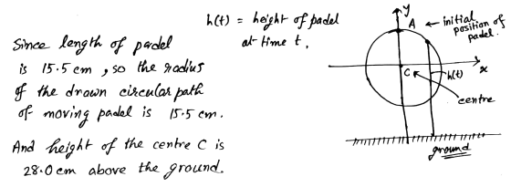 AR initial position of padel. CR h(t) h(t) = height of padel Since length of padel at time to 15.5cm , so the radius of the d