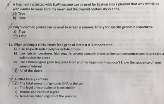 A fragment restricted with EcoRI enzyme can be used for ligation into a plasmid that was restricted with BamHI because both t