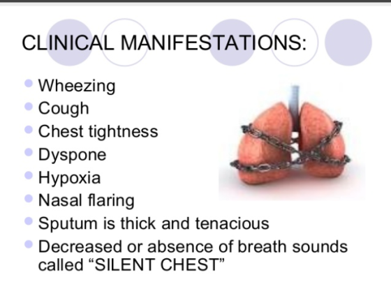 CLINICAL MANIFESTATIONS: Wheezing Cough Chest tightness Dyspone Hypoxia Nasal flaring Sputum is thick and tenacious Decreased