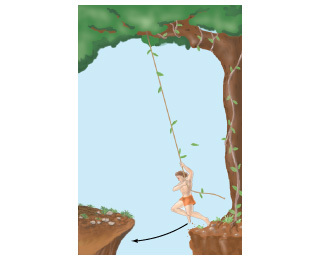 Image for Tarzan plans to cross a gorge by swinging in an arc from a hanging vine, as shown in the figure (Figure 1) . I