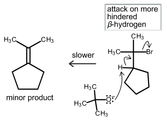This image shows the analogous mechanism as with the methoxide, but with tert butoxide as the base. THe tertiary proton is removed by the base, an alkene is formed and the bromine is kicked off. This reaction is slower than the other possibility and will form the minor product.