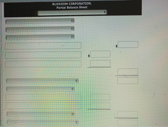 BLOSSOM CORPORATION. Partial Balance Sheet TE FER 1 LE