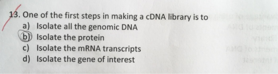. One of the first steps in making a cDNA library is to a) Isolate all the genomic DNA b Isolate the protein c) Isolate the m