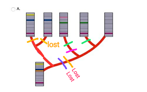 Lost Lost lost