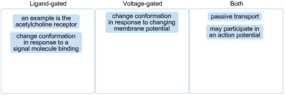 Ligand-gated Voltage-gated Both passive transport may participate in an example is the acetylcholine receptor change conforma