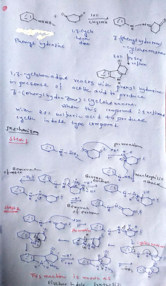 N 49 13-CMclo Phenye bydrazine dine 3 (phenyl by drazono) cyclohexanone 204. Irasoy reflum !, 3-cyclohen adine ZIYO 13-cycloh