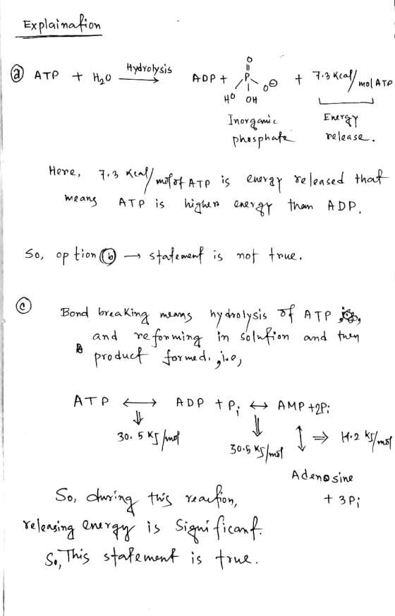Explaination @ ATP Hydrolysis + H2O - > + 7.3 Kcal/mol ATP ADP + P HO OH Inorganic phosphate Energy release. Here, 7.3 Keal m