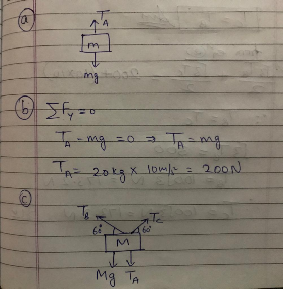 An & Ify zo T-mg 20 TA-mg TA= 20 kg x 10ml = 2000 te Mg Ta