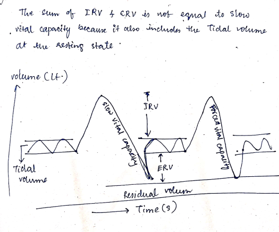 The sum of IRV & GRV is not equal to slow . vital capacity because it also includes the Tidal volume at the resting state vol