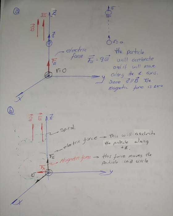 --- Os - electric e force particle E = q Ôzo the Ě will accelerate and it will move along the t axi. since 311 Š The magnetic