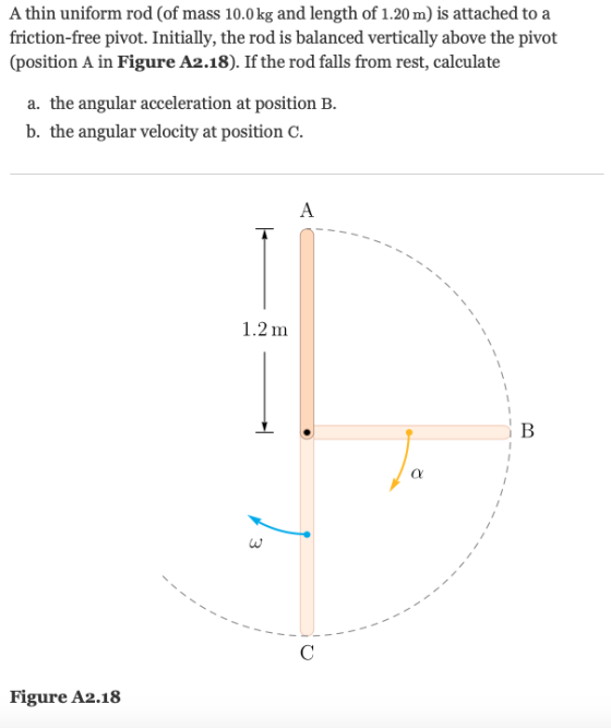 A thin uniform rod (of mass 10.0kg and length of 1.20 m) is attached to a friction-free pivot. Initially, the rod is balanced vertically above the pivot (position A in Figure A2.18). If the rod falls from rest, calculate a. the angular acceleration at position B. b. the angular velocity at position C. 1.2 m Figure A2.18