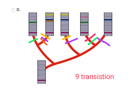9 transistion