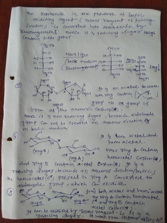 The Ketonexose in the presence of basic oxidising agent (Tollens reagent of Fehling foration is converted into andohexose by