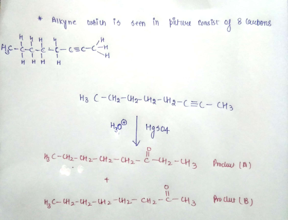 - Alkyne which is seen in picture consist of 8 cambons ,H Ас- I-U- т т т C-CCLC-CEC-C- HT Hннн H₂ C- CH2 - CH2 - CH2 - CH2-C=