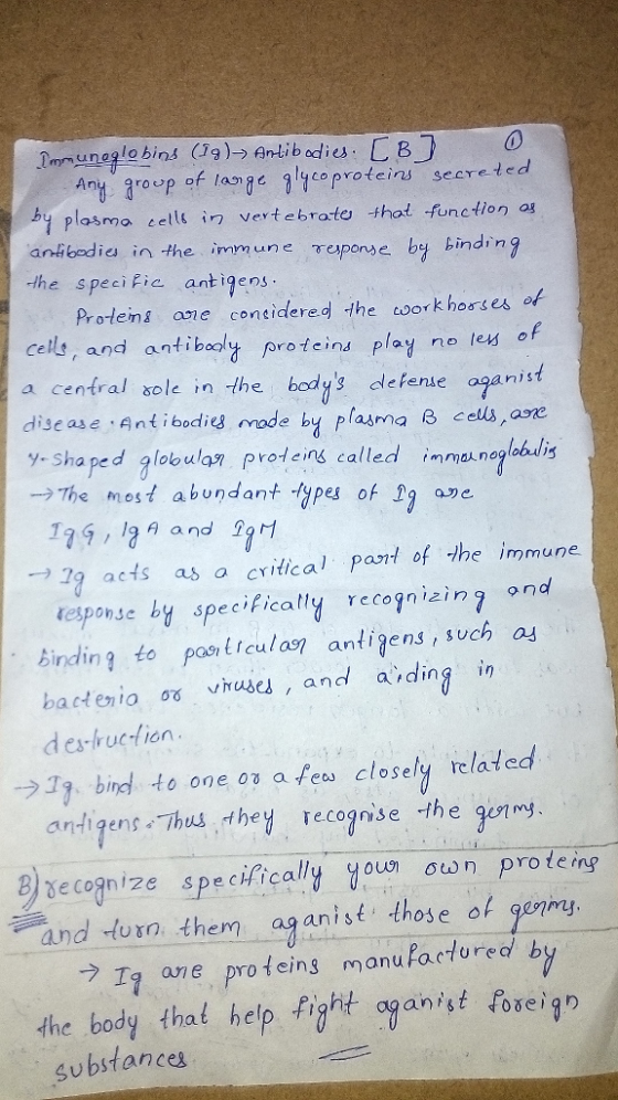 Any roup of lan ge gice proteins secreted plasma cetl in vert ebrate thot function ag anlibedies in the immune reponse by kin