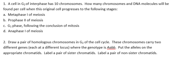 1. A cell in G2 of interphase has 10 chromosomes. How many chromosomes and DNA molecules will be found per cell when this ori