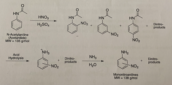 HN HN HN HN HNO3 H2SO4 NO2 + Dinitro- products NO2 N-Acetylaniline (Acetanilide) MW = 135 g/mol NO2 NH2 Acid Hydrolysis Dini