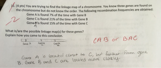 (4 pts) You are trying to find the linkage map of a chromosome. You know three genes are found on the chromosome but do not k