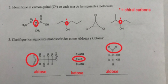 2. Identifique el carbon quiral (C) en cada una de las siguientes moléculas: *chiral carbons Cl H3C Ci Cl Ha 3. Clasifique l