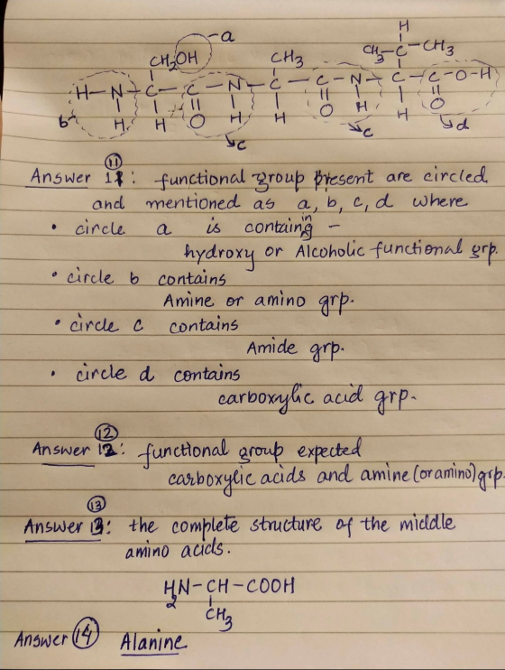 ra CH₂OH C - N c -С-Снз coŅctc-O-HY O H. o H- NZ G- عد Answer if: functional group present are circled and mentioned as a, b,
