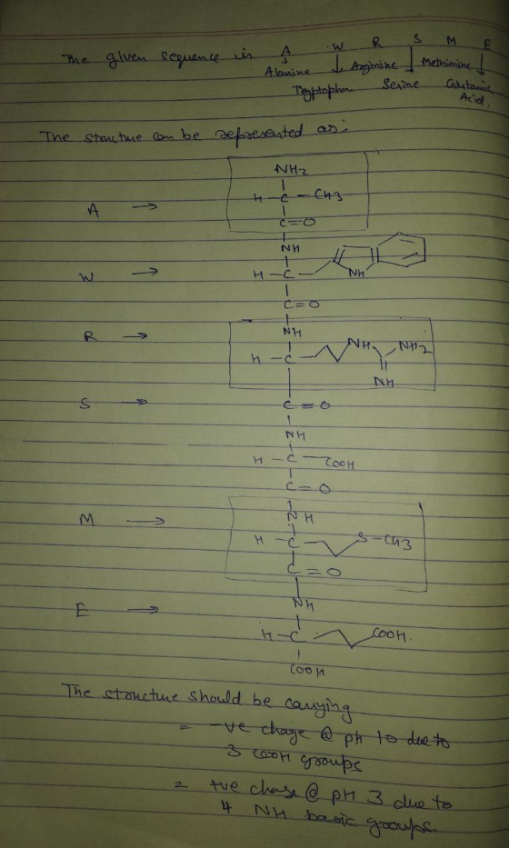 The given sequence is Alanine w R S M & ne I wa J Angimine | Methinine t s Tryptophan seine Glytanic Acid. The structure can