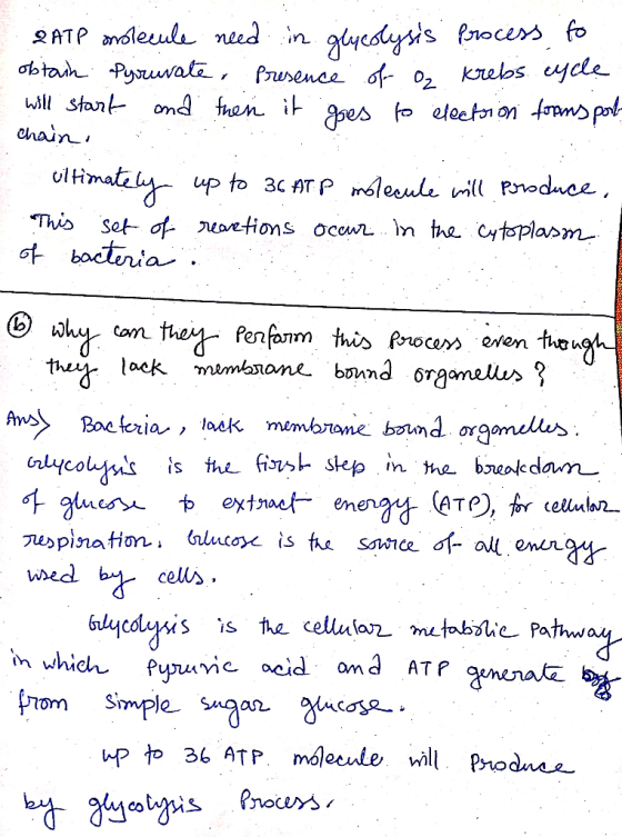 2ATP onolecule need in glycolysis process to obtain Pyruvate presence of o krebs cycle will start and then it goes to electio