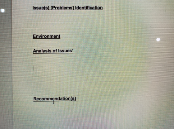 Issue(s) [Problems Identification Environment Analysis of Issues? Recommendation(s)