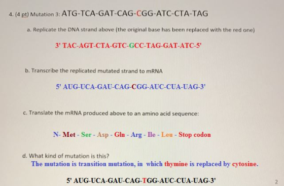 4. (4 pt) Mutation 3: ATG-TCA-GAT-CAG-CGG-ATC-CTA-TAG a. Replicate the DNA strand above (the original base has been replaced