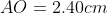 AO=2.40cm