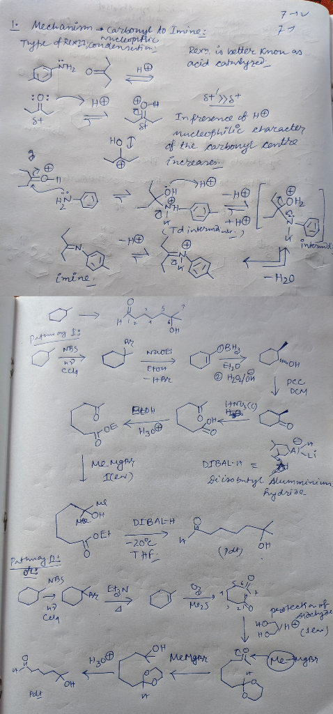 1 Mechanism carbonyl to Imine: Type of Rex Rameurple Condensestions Rexn is better knon as acid catareyred- n o H® 80+ st»s+